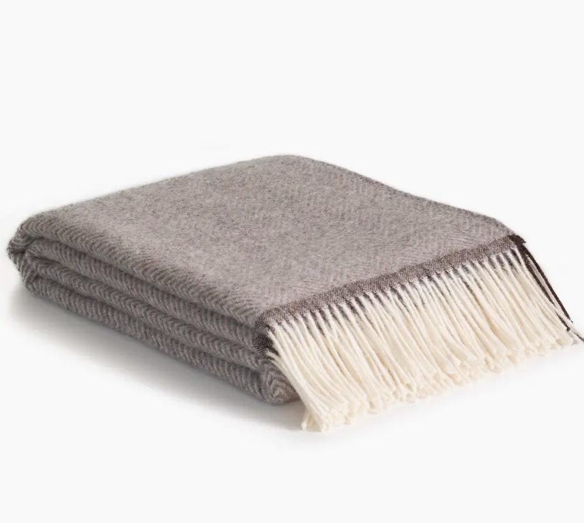 WOLLDECKE - BRAUN