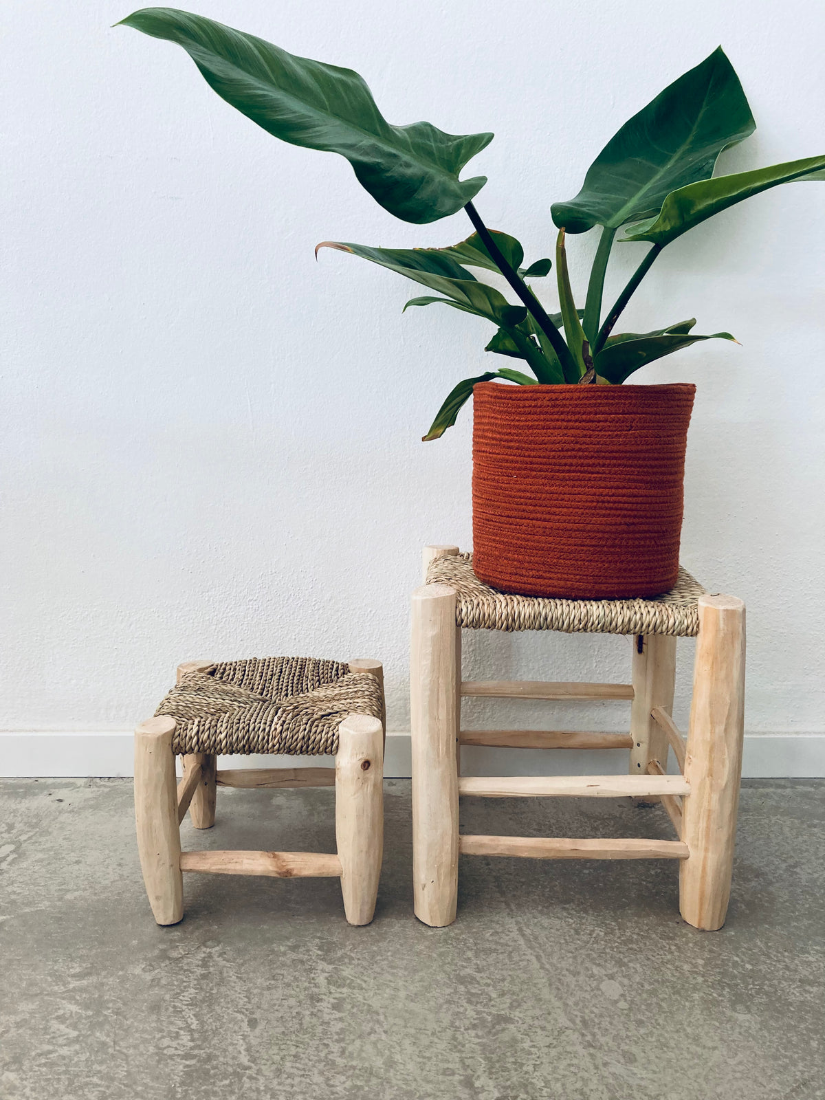 Hocker aus Ratten, Sisal und Holz. Kinderhocker für das Kinderzimmer. Darauf eine Pflanze im Korb